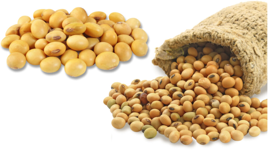 Anwary Group: Soya Bean