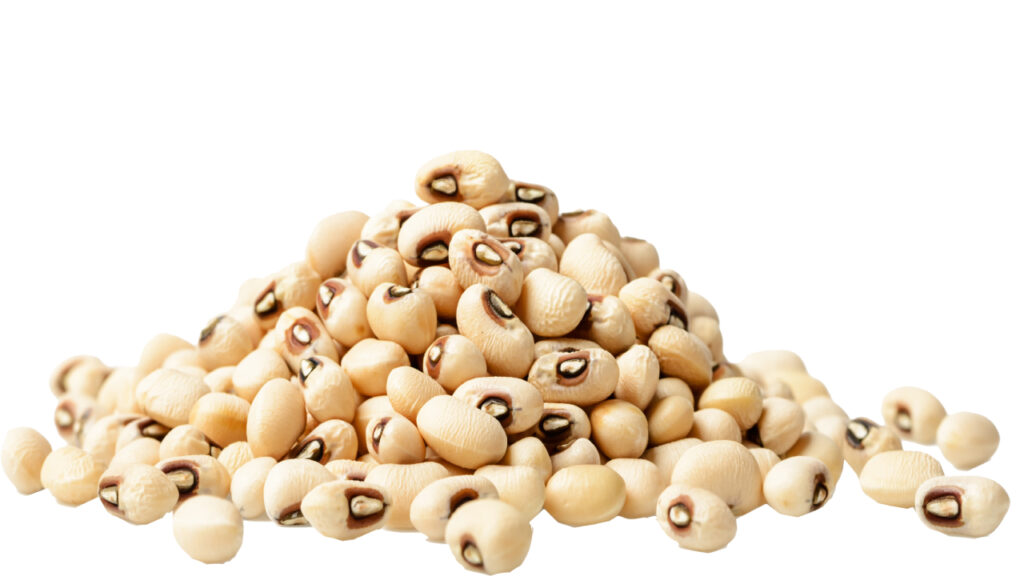 Anwary Group: White Bean