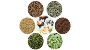 Anwary Group Products of YEM (2)